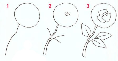 Поэтапное рисование ягод