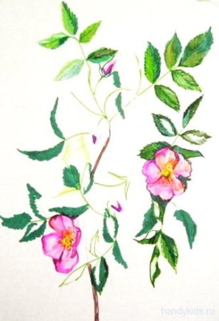 Трафарет листьев розы