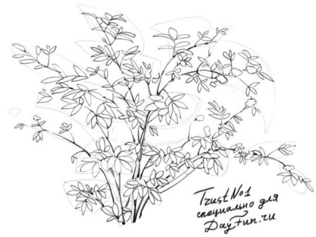 Рисунок легкий