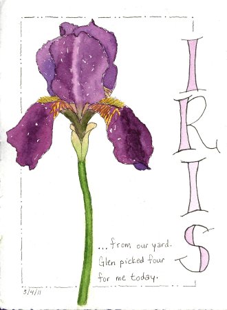 Схема рисования ириса