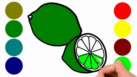 Лайм нарисовать легко