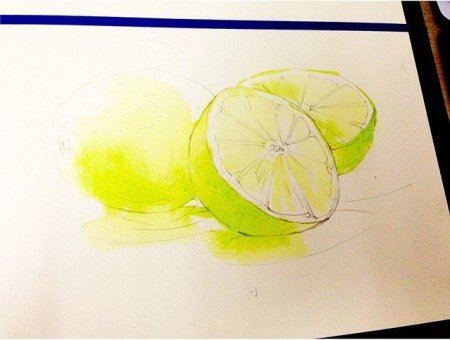 Лайм рисунок акварель