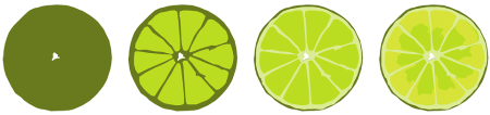 Лайм в разрезе вектор