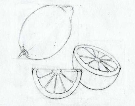 Лимон рисунок