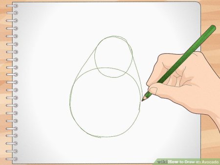 Нарисовать авокадо пошагово