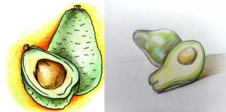 Этапы рисования авокадо