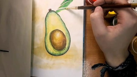 Этапы рисования авокадо