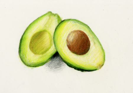 Набросок авокадо