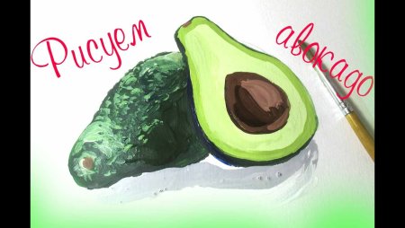 Рисуется авокадо