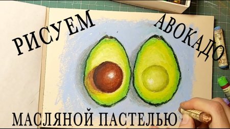 Половинка авокадо для срисовки