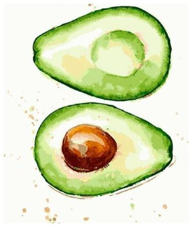 Рост дерева авокадо