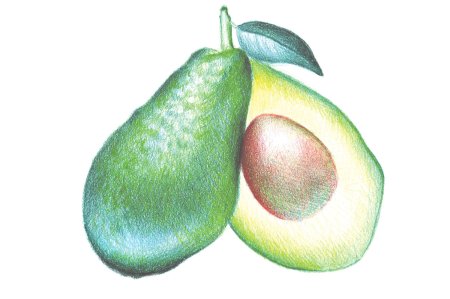 Авокадо рисунок