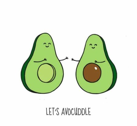 Авокадо вектор милые