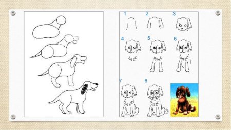 Как нарисовать собаку