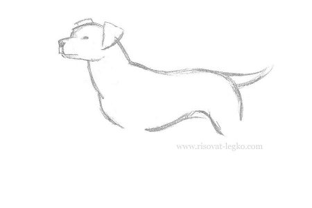 Барбос и Жулька рисунок карандашом легкий