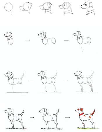 Лабрадор рисунок карандашом