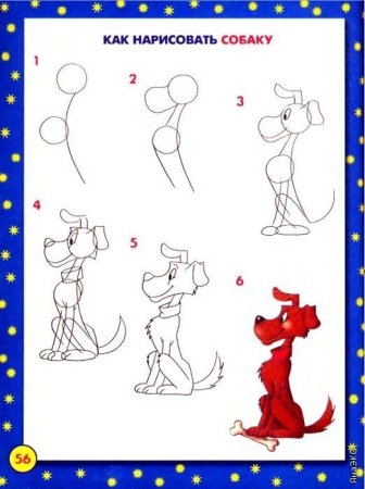 Морда собаки рисунок карандашом