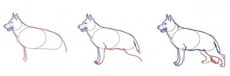 Пошаговые рисунки для детей