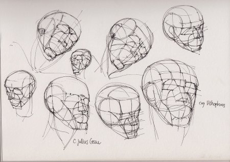 Схема построения головы