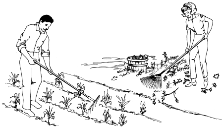 Контурный рисунок огород