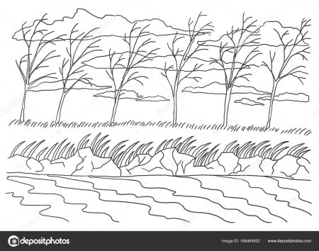 Раскраска ритм в природе