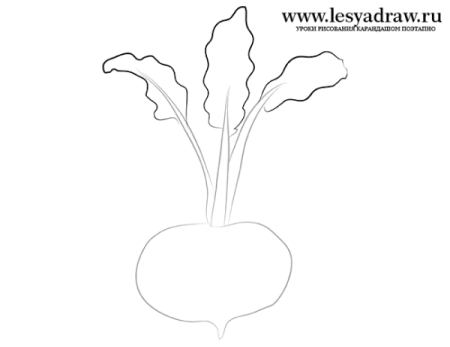 Поэтапное рисование Репка для детей