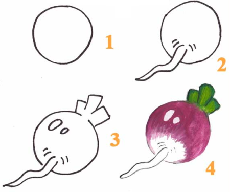 Поэтапное рисование овощей