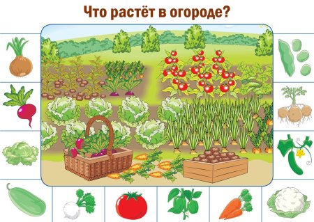 Огород для дошкольников