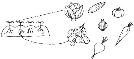 Овощи задания для детей