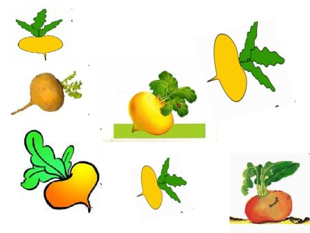 Книжки-малышки. Репка