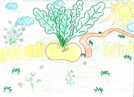 Репка рисунок