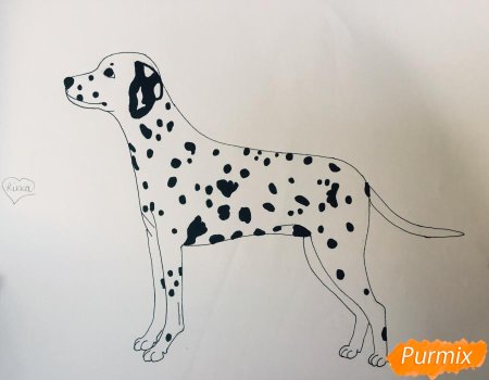 Далматинец щенки вид сбоку