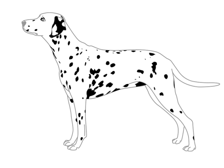 Силуэт далматинца сбоку