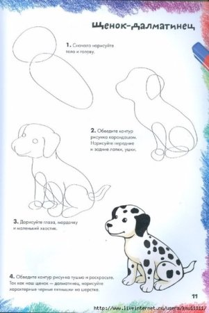 Рисование далматинца поэтапно для детей