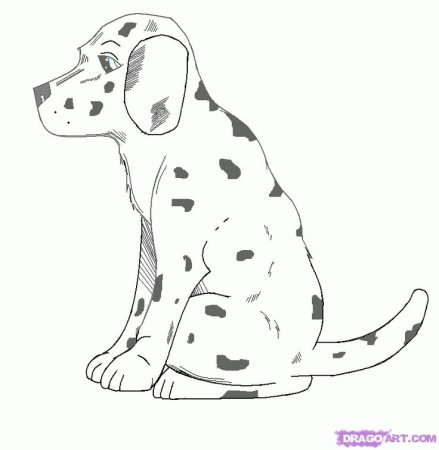 Далматинец карандашом для начинающих