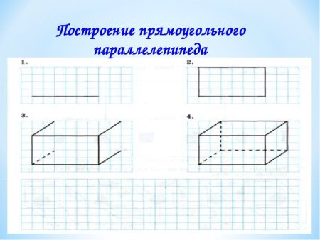 Плечо референс анатомия