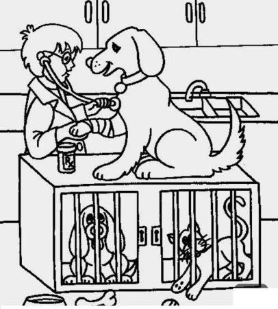 Рисунок ветеринара поэтапно