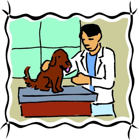 Рисунки собак и кошек для срисовки