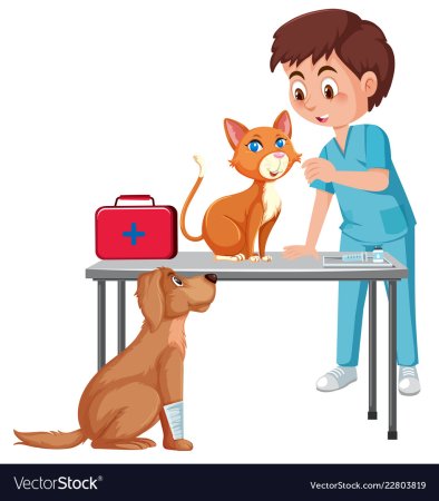 Ветеринар для срисовки