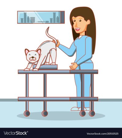 Разукрашка ветеринар