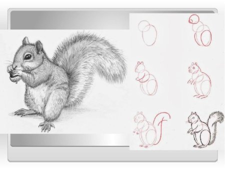 Изображение животных графическими материалами