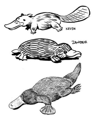 Утконос набросок