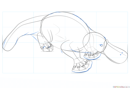 Как нарисовать утконоса