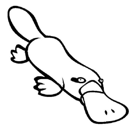 Утконос контур