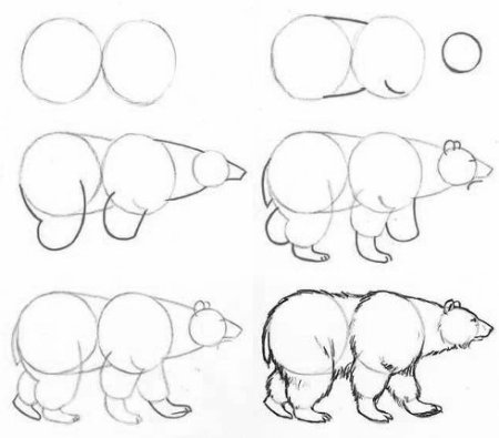 Пошаговое рисование медведя для детей
