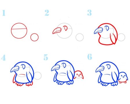 Рисуем пингвина пошагово урок