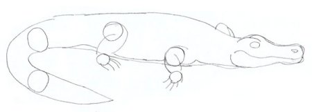 Как нарисовать крокодила поэтапно