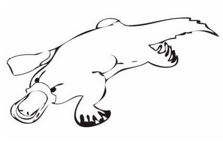 Утконос трафарет