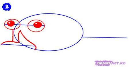 Утконос рисунок для детей поэтапно