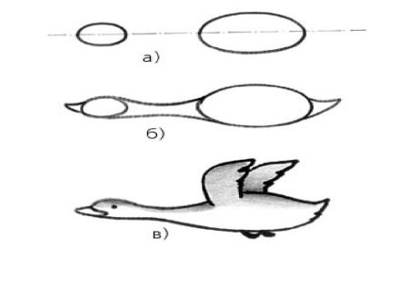 Как нарисовать утку ребенку